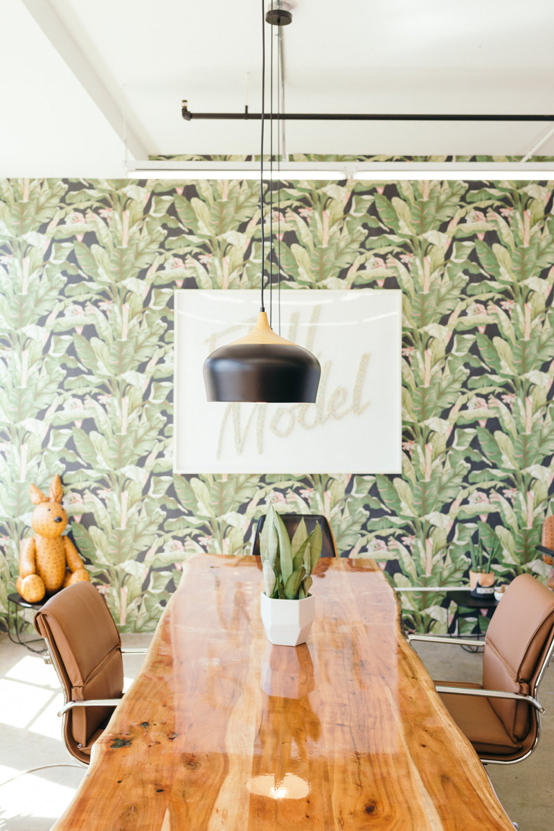 York Wallcoverings Ashford Tropics 27' x 27" Banana Leaf Wallpaper Roll